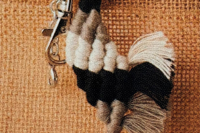 <?php the_title() ?>